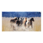 Wild horses running personalized photo card