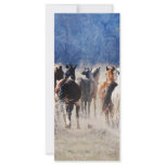 Wild horses running rack cards