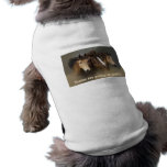 Wild Horses Three Pet Clothing