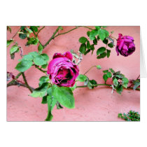 Wild Irish Rose Card