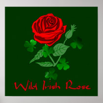 Wild Irish Rose Poster