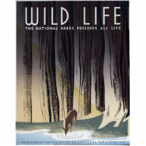 Wild Life Acrylic Cut Out