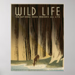 Wild life The national parks preserve all life Posters