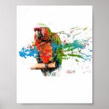 Wild Mccaw Print