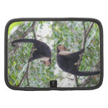Wild Monkey Picture Organizers