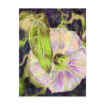 Wild Morning Glory by Alexandra Cook Postcards