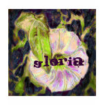 Wild Morning Glory by Alexandra Cook t-shirts