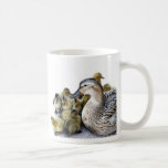 Wild Mother Duck and Ducklings Mugs