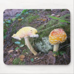 Wild Mushroom Mouse Pad