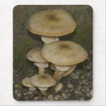 wild mushroom mousepad