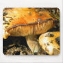 Wild Mushrooms Mousepad