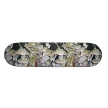 Wild Mushrooms on Decomposing Tree Skate Boards