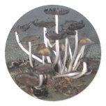 Wild Mushrooms stickers
