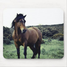 Wild Mustang Mouse Pad