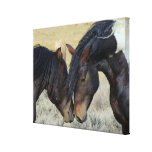 WILD MUSTANGS GALLERY WRAPPED CANVAS