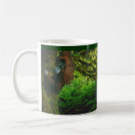 Wild Orangutan & Rainforest Wildlife-supporter Mug
