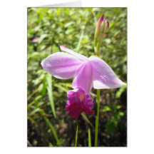 Wild Orchid - Customised Greeting Cards