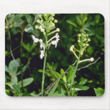 Wild Orchid (Plantanthera Blephariglottis) Mouse Pad