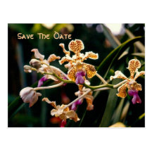 Wild Orchid Save The Date Postcard