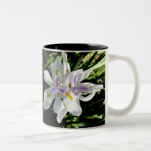 Wild Orchids on Mug