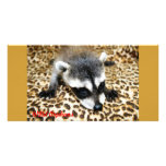 Wild Orphans photo cards