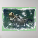 Wild Otter Preening in Ocean Photo Art Poster posters