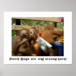 Wild Panty Raids posters
