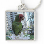 Wild parrot #3 keychains