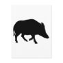 Wild pig - boar postcard