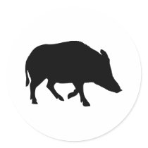 Wild pig - boar sticker