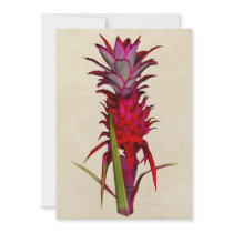 Wild Pineapple