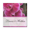 Wild pink orchids magnets