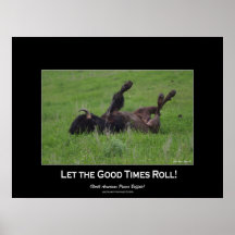 Wild Plains Bufffalo Rolling Wildlife (small size) Print