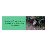 Wild Possum, Mini Bookmarks Business Card