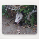 Wild Possum mousepads