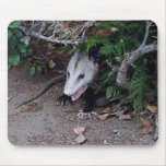 Wild Possum mousepads