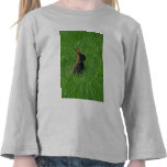 Wild Rabbit Tee Shirt