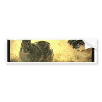 Wild Rabbits Bumper Sticker