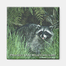WILD RACCOON FRIDGE MAGNETS