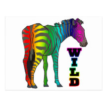 wild rainbow zebra post card