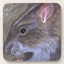 wild rat beverage coaster