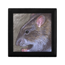 wild rat jewelry boxes