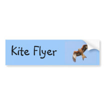 Wild Red Kites Bumper Stickers