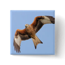 Wild Red Kites Pin