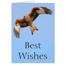 Wild Red Kites Greeting Card