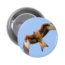 Wild Red Kites Pin