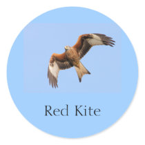Wild Red Kites Stickers