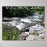wild river posters