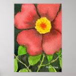 Wild Rose Art Print
