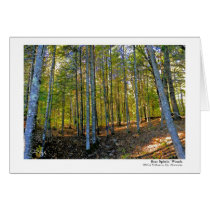Wild & Rural Minnesota series by Jan G. Hogle Greeting Card